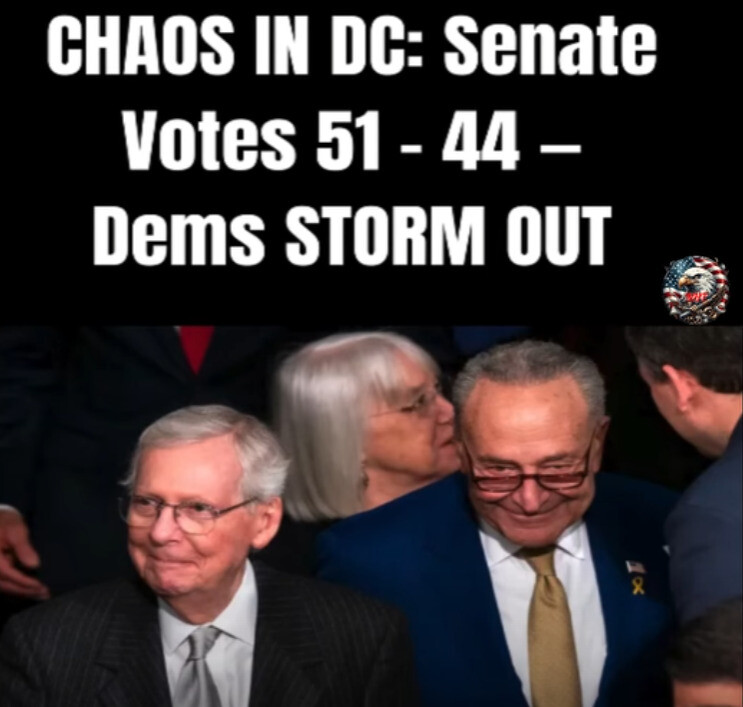Senate Votes 51-46 — Democratic Senator Chuck Schumer’s Plan Backfired…