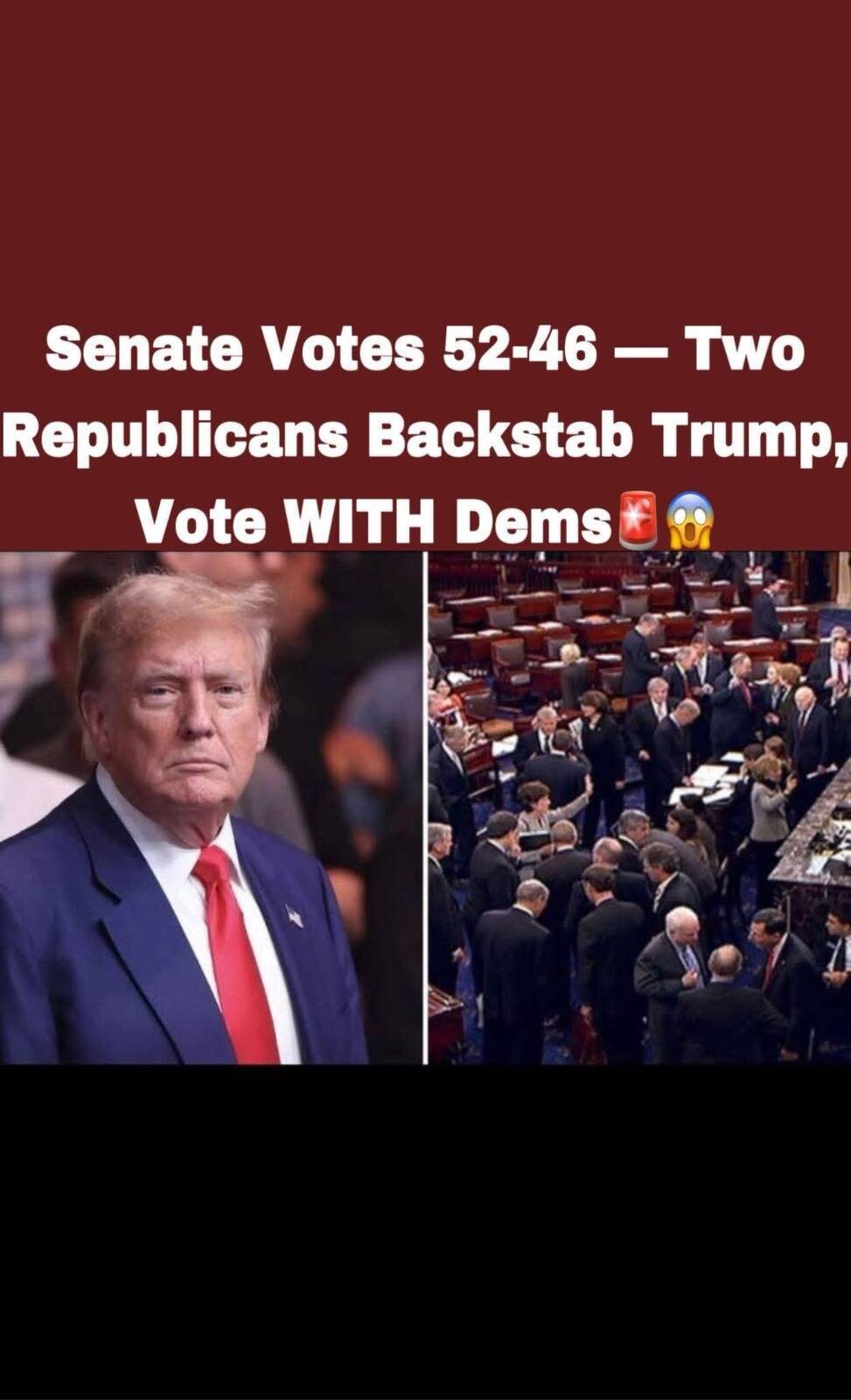 Senate Confirms Kelly Loeffler as Head of the Small Business Administration