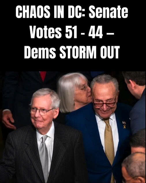 Senate Votes 51-46 — Democratic Senator Chuck Schumer’s Plan Backfired…