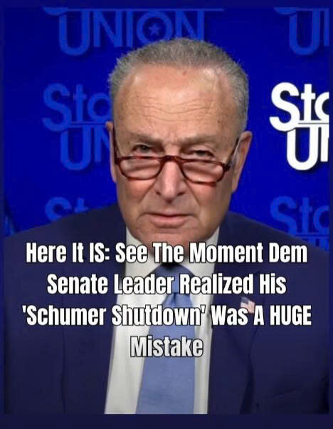 Here It IS: See The Moment Dem Senate Leader Realized His ‘Schumer Shutdown’ Was A HUGE Mistake