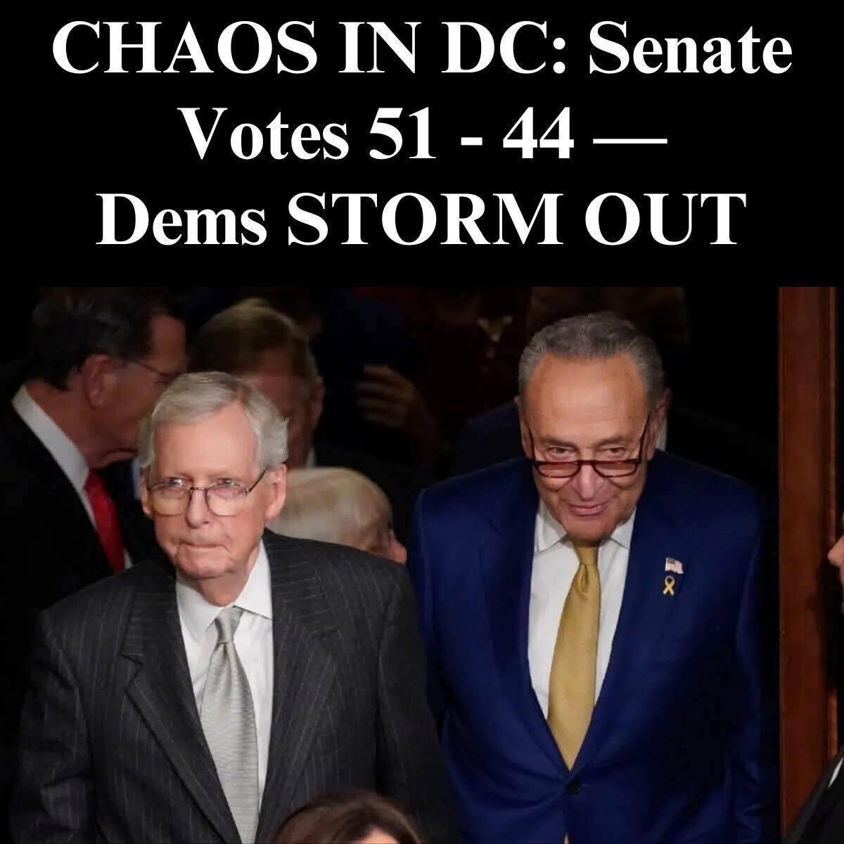 Senate Votes 51-46 — Democratic Senator Chuck Schumer’s Plan Backfired…