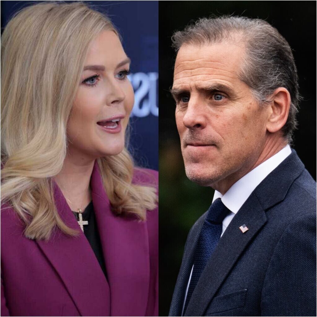 Hunter Biden’s $1 Billion Power Play Backfires Spectacularly as Karoline Leavitt Outsmarts Him Live On Air in Jaw-Dropping Showdown