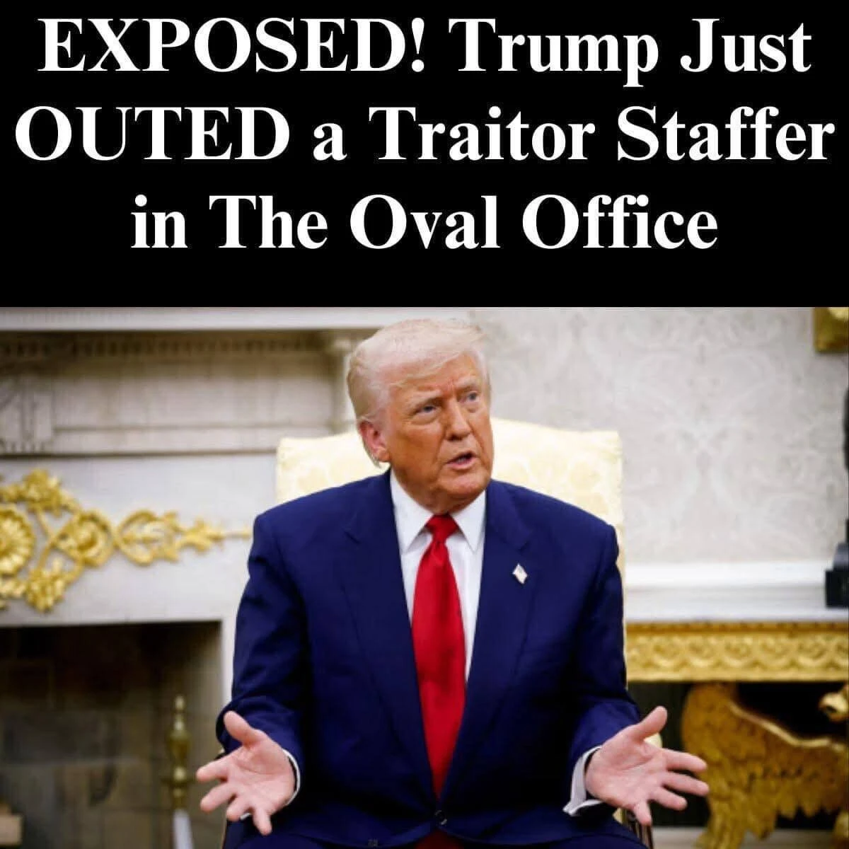 ‘Treason’: Trump Orders Probes Into Former Staffers Who Led ‘Resistance’