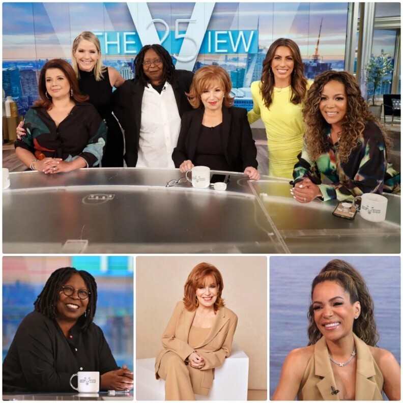 The Fall of a Titan: Analyzing the Unprecedented Ratings Collapse of The View and the Uncertain Future of Daytime’s Most Controversial Panel