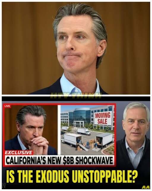 Governor Newsom LOSES IT as Company EXITS and Dumps $8 BILLION Supply
