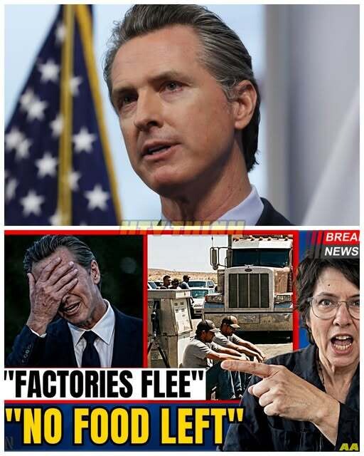 California in Crisis: Governor PANICS as Blue Diamond & Pizza Hut Flee