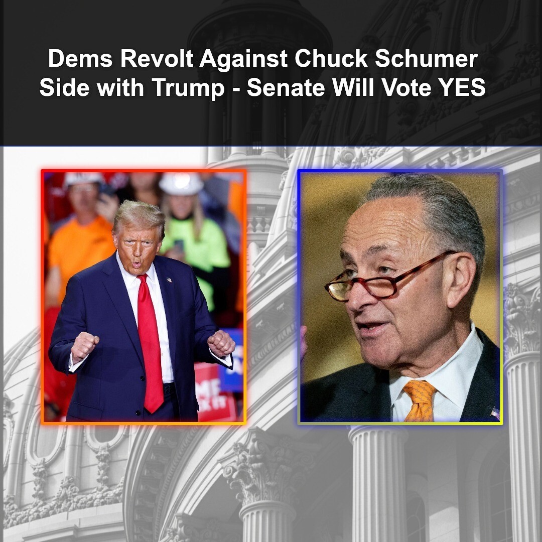 Dems Revolt Against Chuck Schumer, Side with Trump - Senate Will Vote YES