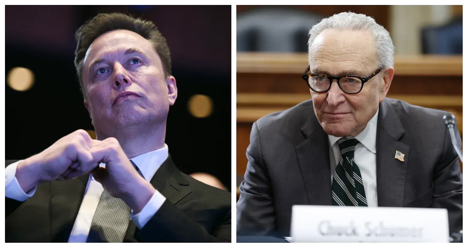 Musk Makes Offer To Pay TSA Agents Sidelined by Schumer Shutdown 2.0