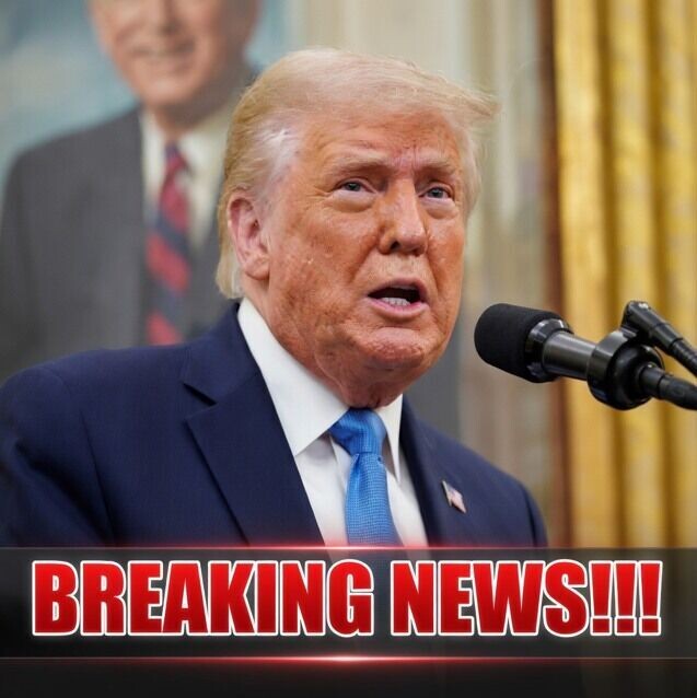 Trump looked straight at reporters and said the quiet part out loud