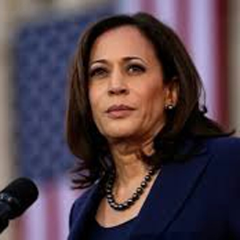 2024 DNC Report Reveals Just How Bad Party Screwed Up Harris’s Campaign